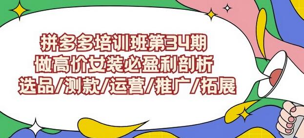 拼多多高价女装盈利全攻略：选品测款运营推广拓展-无双副业