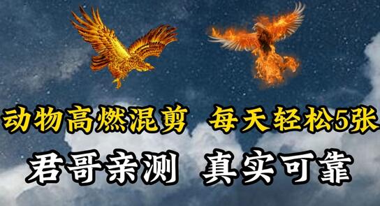 动物混剪视频制作教程，轻松上手每日5张-无双副业