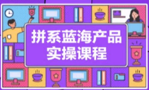拼系冷门蓝海产品实操课程，从开店到流量维护全流程-无双副业
