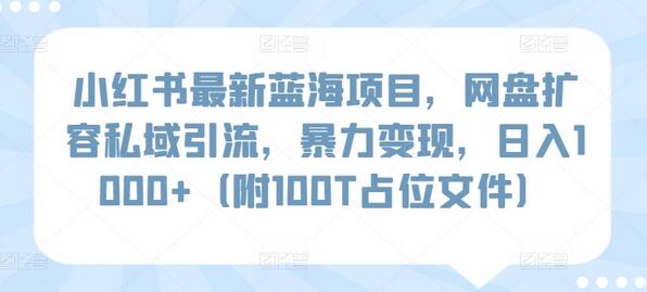 小红书网盘扩容私域引流项目，日入1000+变现技巧-无双副业