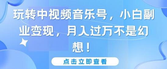 玩转中视频音乐号，小白副业变现月入过万-无双副业