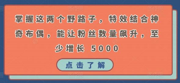 掌握特效与布偶结合技巧，快速提升抖音粉丝数量-无双副业