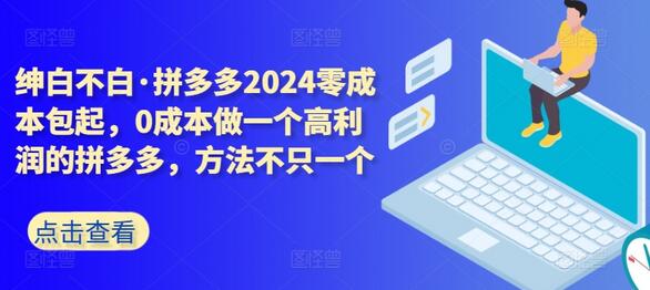 2024拼多多零成本高利润玩法揭秘，方法多样-无双副业