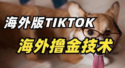 抖音海外版TikTok赚钱技术，轻松掌握风口行业-无双副业