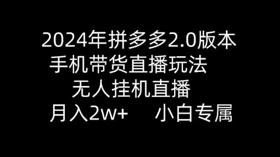 2024年拼多多2.0手机带货直播玩法，无人挂机月入2w+-无双副业