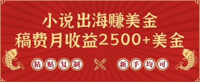 小说出海赚美金，月收益2500+美金，新手轻松上手-无双副业
