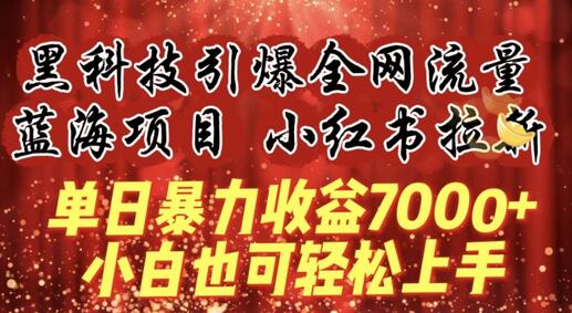 小红书拉新项目：黑科技引爆流量，单日收益7000+，小白轻松上手-无双副业