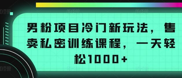男粉项目新玩法：售卖私密训练课程，日赚1000+-无双副业