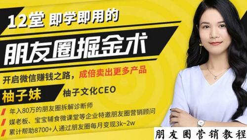 12堂朋友圈掘金术：开启副业赚钱之路-无双副业