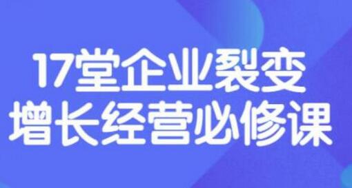 张琦《盈利增长17堂必修课》揭秘企业裂变增长经营智慧-无双副业