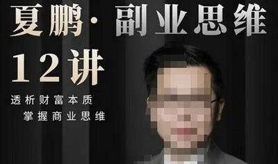 夏鹏副业思维12讲：透析财富本质与商业思维-无双副业