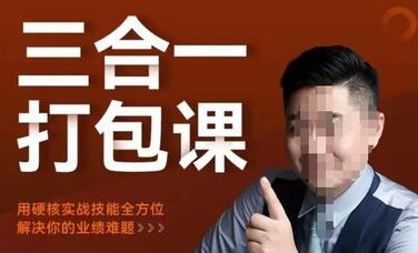 小伟老师谈单销售硬核实战三合一课程，解决业绩难题-无双副业