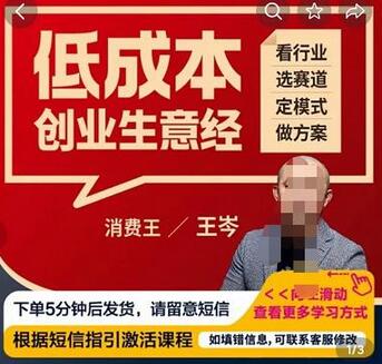 王岑低成本创业生意经：8个关键点剖析成功案例-无双副业