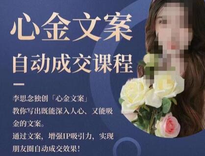 心金文案自动成交课程，教你写出吸金文案实现朋友圈自动成交-无双副业