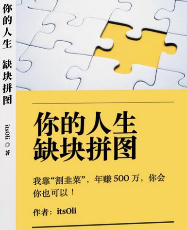 高赞电子书《你的人生缺块拼图——年赚500万的秘诀》-无双副业