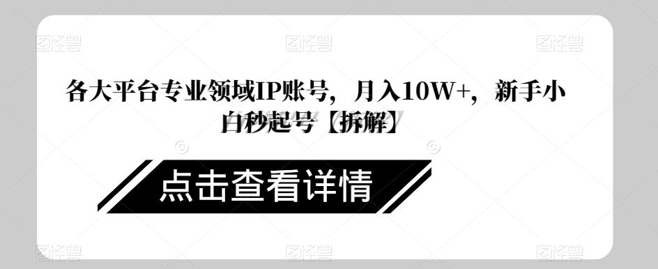 专业领域IP账号打造与变现，新手小白快速起号指南-无双副业