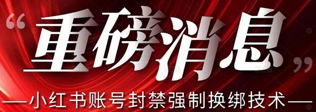 小红书账号封禁强制换绑技术日赚300元-无双副业