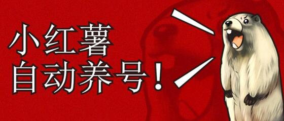 小红书养号秘籍：自动涨粉与高权重账号打造指南-无双副业