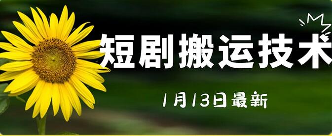 最新短剧搬运技术，电脑手机通用操作指南-无双副业
