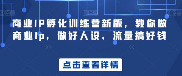 商业IP孵化训练营：打造人设、流量变现全攻略-无双副业