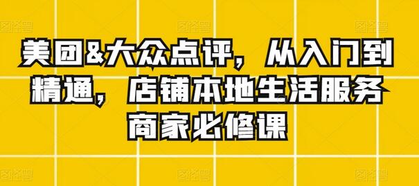 美团与大众点评店铺运营从入门到精通-无双副业