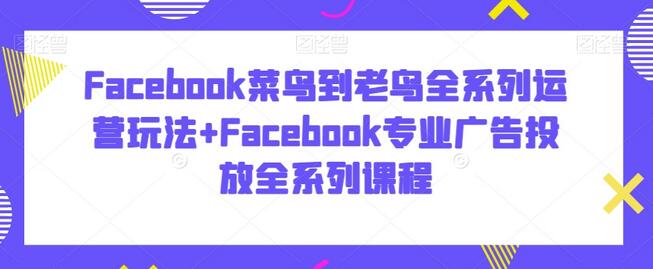 Facebook运营与广告投放全系列课程-无双副业