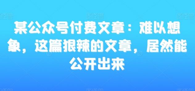 难以想象，这篇狠辣的文章居然能公开出来-无双副业