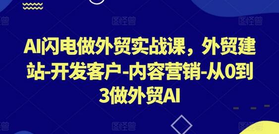 AI闪电外贸实战课：从建站到客户开发的全流程指南-无双副业