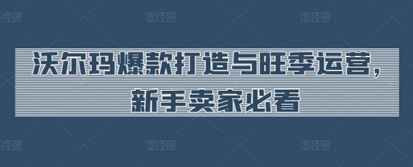 沃尔玛爆款打造与旺季运营指南，新手卖家必备-无双副业