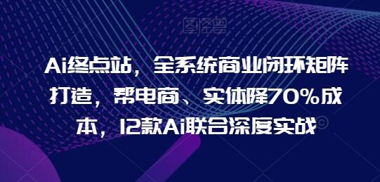 全系统商业闭环矩阵打造，AI助力电商实体降70%成本-无双副业