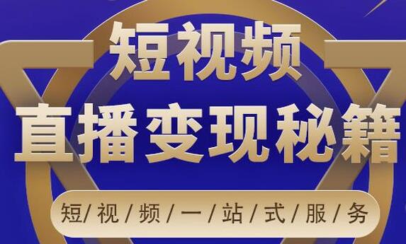 卢战卡短视频直播营销秘籍：引流与变现最大化策略-无双副业