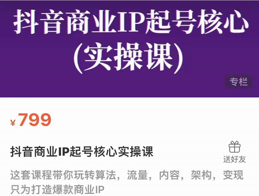 抖音商业IP起号实操课，掌握算法、流量、内容与变现-无双副业