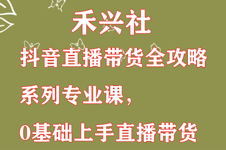 抖音直播带货全攻略：0基础快速上手直播带货-无双副业