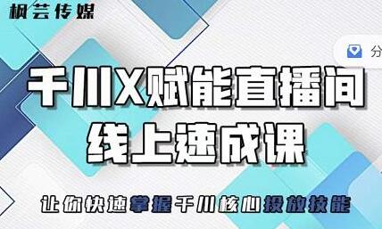 枫芸传媒线上千川提升课，优化千川投放效果-无双副业