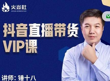 锤十八抖音直播带货VIP课，专注有效盈利模式-无双副业