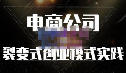 电商公司裂变式创业模式与人力资源管理实践-无双副业