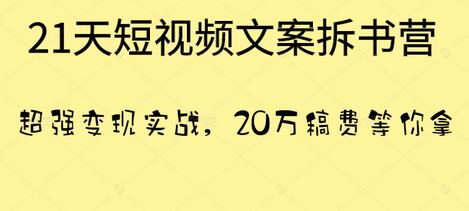 叶小鱼21天短视频文案拆书营，实战变现20万稿费-无双副业