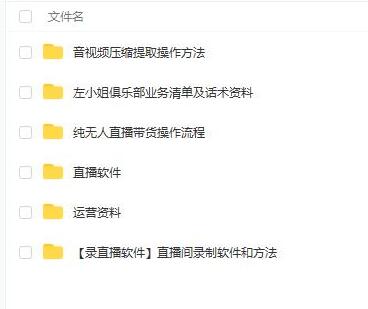 左小姐直播带货俱乐部：十三行与无人直播全套教程-无双副业