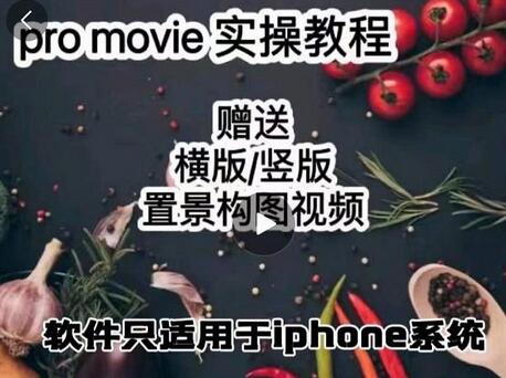 漆十二美食摄影：25节promovie实操高手课程-无双副业