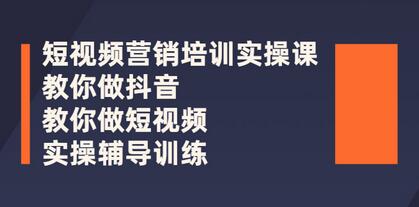 蕊总短视频营销培训实操课：抖音运营与短视频制作全攻略-无双副业