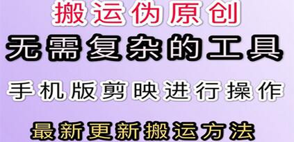 抖音快手视频搬运技术，无需复杂工具，小白也能轻松上手-无双副业