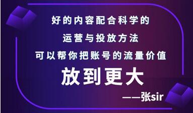 张sir账号流量增长课，精准流量获取指南-无双副业
