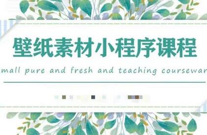 闪闪壁纸号运营教程：抓住图文风口快速吸粉变现-无双副业