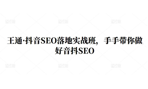 王通抖音SEO实战班，手把手教你抖音SEO优化技巧-无双副业