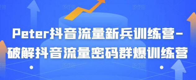 Peter抖音流量新兵训练营-破解抖音流量密码群爆训练营-无双副业