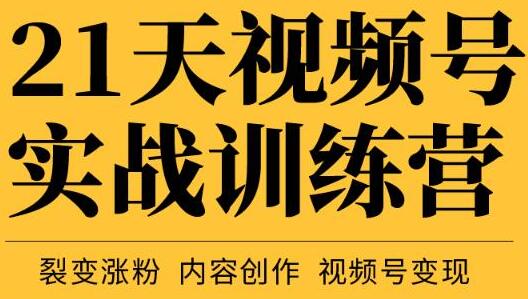 张萌21天视频号实战训练营：裂变涨粉与变现全攻略-无双副业