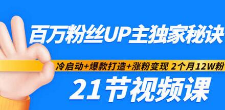百万粉丝UP主冷启动与爆款打造秘诀：2个月12W粉实战指南-无双副业