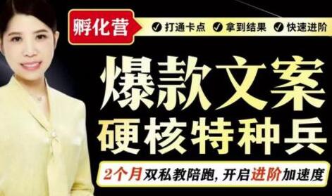 兔妈爆款文案孵化营，副业增收2000-30000+-无双副业