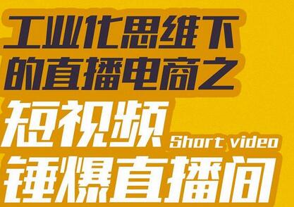 工业化思维下的直播电商短视频爆单策略-无双副业
