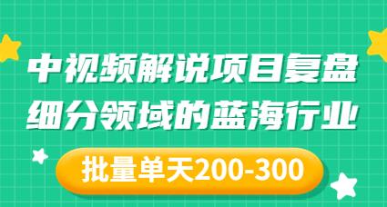 中视频解说项目复盘：细分领域蓝海行业单天收益200-300-无双副业